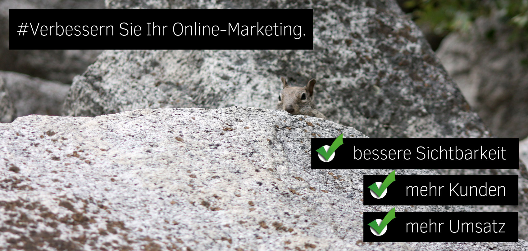 Kostenloses Erstgespräch - Verbessern Sie Ihr Online Marketing 